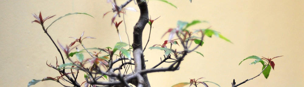 Agus Junaidi, ST., MT.